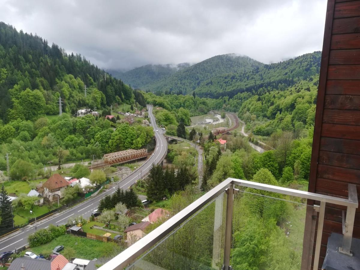 Sinaia Q Marie Apartment Екстер'єр фото